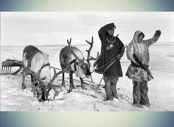Обложка электронного документа Долганы: северные кочевники Заполярья
