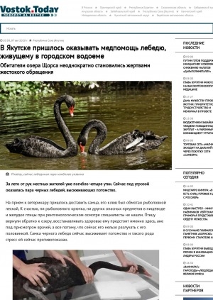Обложка Электронного документа: В Якутске пришлось оказывать медпомощь лебедю, живущему в городском водоеме. Обитатели озера Щорса неоднократно становились жертвами жестокого обращения