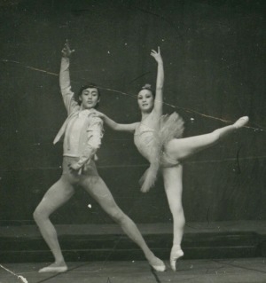 Обложка Электронного документа: Балет "Дон Кихот": [фотография]