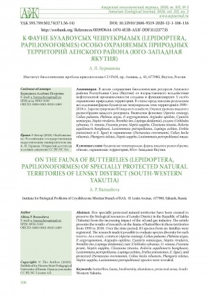 Обложка Электронного документа: К фауне булавоусых чешуекрылых (Lepidoptera, Papilionoformes) особо охраняемых природных территорий Ленского района (Юго-Западная Якутия) <br>On the fauna of BUTTERFLIES (Lepidoptera, Papilionoformes) of specially protected natural territories of Lensky district (South-Western Yakutia)