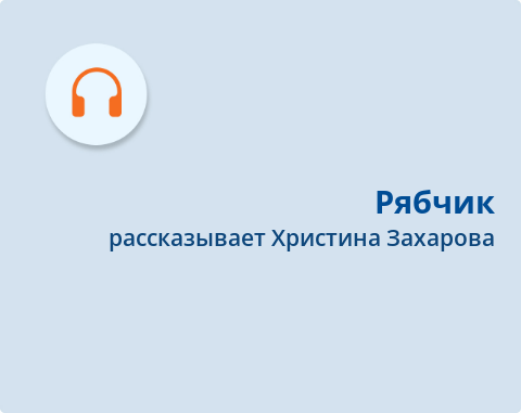 Обложка Электронного документа: Рябчик: [эвенское предание. аудиозапись]