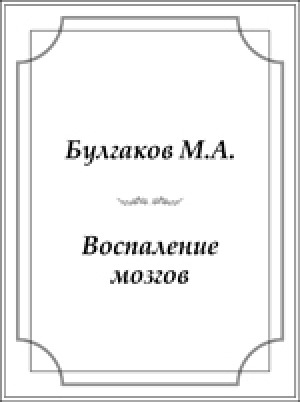 Обложка Электронного документа: Воспаление мозгов