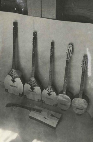 Обложка Электронного документа: Щипковые и смычковые инструменты: [фотография]