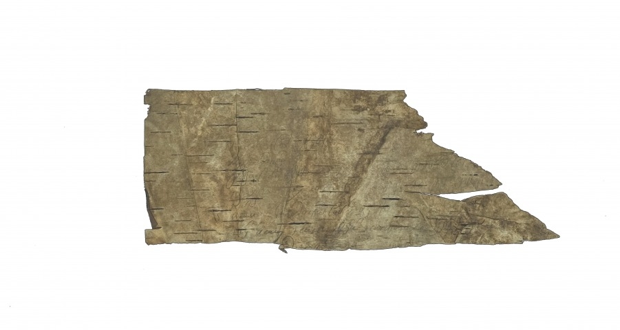 Обложка Электронного документа: Берестяная грамота: [11 фрагментов] <br/> Грамота N 11