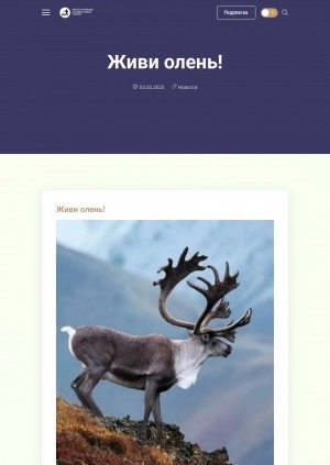 Обложка Электронного документа: Живи олень!: стихи Зои Афанасьевны Степановой ко Дню оленевода в Якутии