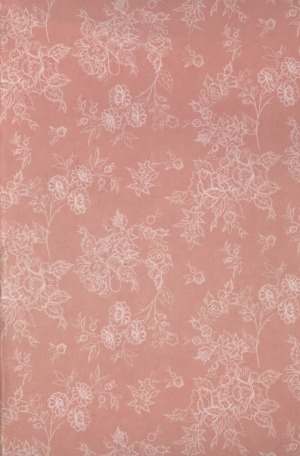 Обложка Электронного документа: Дневник чтения