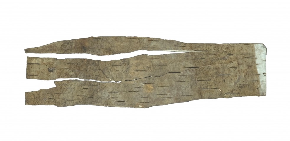 Обложка Электронного документа: Берестяная грамота: [11 фрагментов] <br/> Грамота N 8, Грамота N 9