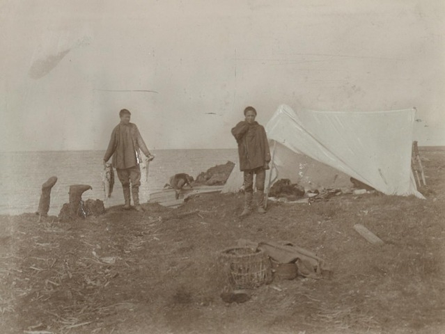 Обложка Электронного документа: Лагерь гусников на берегу моря - Ярок: [из фотоальбома В. М. Зензинова "Из Якутска в Русское Устье, 1911 - 1912 гг.", фото 111. 9.VII.]