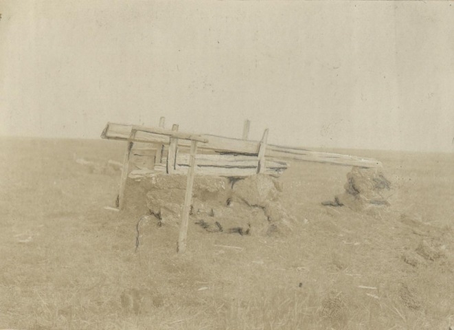 Обложка Электронного документа: Настороженная песцовая пасть на берегу моря: [из фотоальбома В. М. Зензинова "Из Якутска в Русское Устье, 1911 - 1912 гг.", фото 114. 9.VII.]