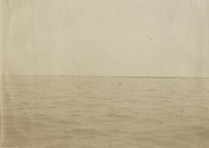 Обложка Электронного документа: "Держат" гусей, окружив стадо ветками: [из фотоальбома В. М. Зензинова "Из Якутска в Русское Устье, 1911 - 1912 гг.", фото 122. 12.VII.]