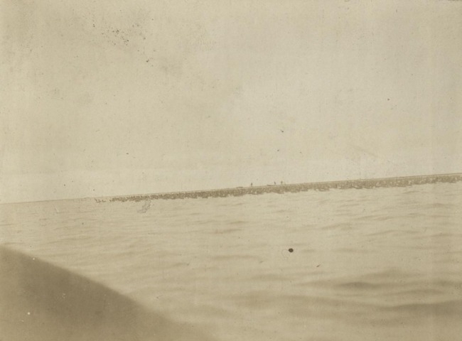 Обложка Электронного документа: Держат: [из фотоальбома В. М. Зензинова "Из Якутска в Русское Устье, 1911 - 1912 гг.", фото 124, 12.VII.]