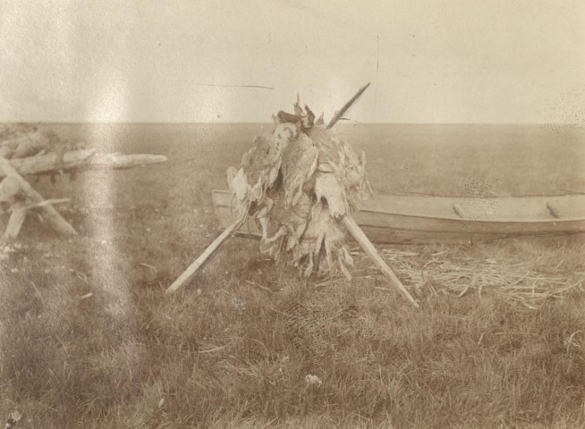 Обложка Электронного документа: Гусиный пай. Первый загон дал 450 гусей: [из фотоальбома В. М. Зензинова "Из Якутска в Русское Устье, 1911 - 1912 гг.", фото 133, 10.VII]