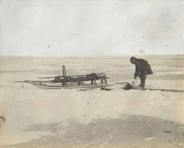 Обложка Электронного документа: Ловля сельдей подо льдом: [из фотоальбома В. М. Зензинова "Из Якутска в Русское Устье, 1911 - 1912 гг.", фото 149, 16.IX.]