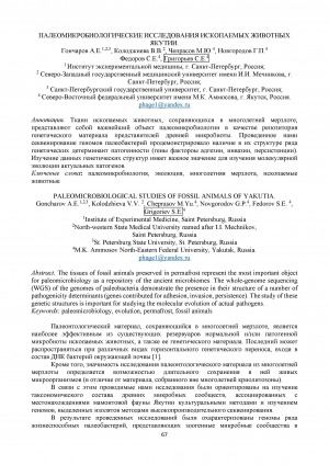 Обложка Электронного документа: Палеомикробиологические исследования ископаемых животных Якутии = Paleomicrobiological studies of fossil animals of Yakutia