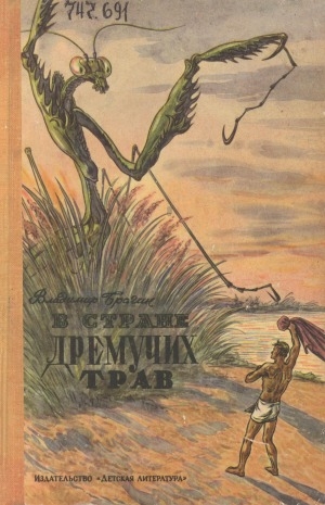 Обложка Электронного документа: В стране дремучих трав: роман-сказка. [для восьмилетней и средней школы]