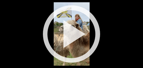 Обложка Электронного документа: Үс саха тойуга: [хоһоон. видеозапись]