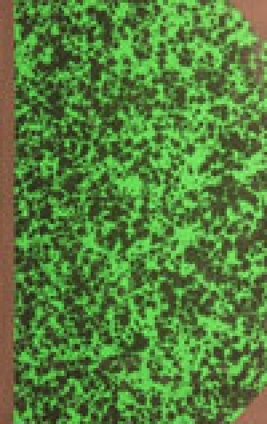 Обложка Электронного документа: Походская виска: очерки Колымского края