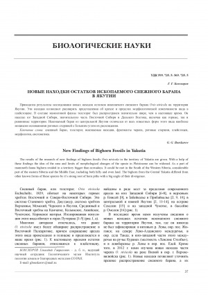 Обложка Электронного документа: Новые находки остатков ископаемого снежного барана в Якутии = New Findings of Bighorn Fossils in Yakutia