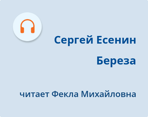 Обложка Электронного документа: Береза = Хатыҥ: [аудиозапись]