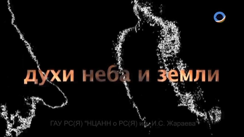 Обложка Электронного документа: Духи неба и земли: [видеозапись]