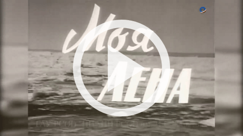 Обложка Электронного документа: Моя Лена: [видеозапись]