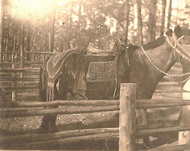 Обложка Электронного документа: Якутский верховой конь в летнем убранстве: из выставки Качикатского ысыаха Орджоникидзевского района: фотография