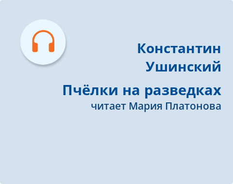 Обложка Электронного документа: Пчёлки на разведках: [аудиозапись]
