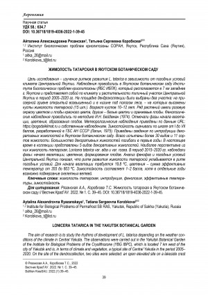 Обложка Электронного документа: Жимолость татарская в Якутском ботаническом саду <br>Lonicera tatarica in the Yakutsk botanical garden