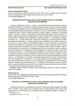 Обложка Электронного документа: Особенности онтогенеза Scutellaria scordiifolia Fisch. ex Schrank. (Lamiaceae) в интродукции <br>Features of ontogenesis of Scutellaria scordiifolia Fisch. ex Schrank. (Lamiaceae) in introduction