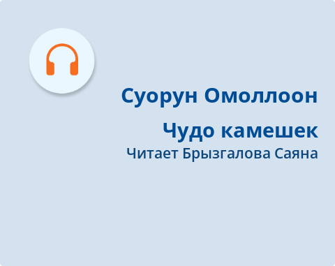 Обложка Электронного документа: Чудо камешек: [аудиозапись]