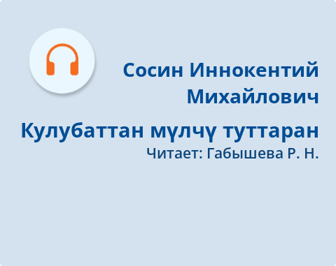 Обложка Электронного документа: Кулубаттан мүлчү туттаран: [аудиозапись]