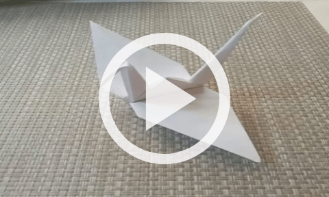 Обложка Электронного документа: Журавлик Мира: мастер-класс. [видеозапись]