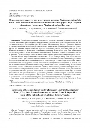 Обложка Электронного документа: Описание костных остатков шерстистого носорога Coelodonta antiquitatis Blum., 1799 из нового местонахождения мамонтовой фауны на р. Огороха (бассейн р. Индигирка, Абыйский район, Якутия) <br>Description of bone residues of woolly rhinoceros Coelodonta antiquitatis Blum., 1799, from the new location of mammoth fauna R. Ogorokha (basin of the Indigirka river, Abyiskii district, Yakutia)