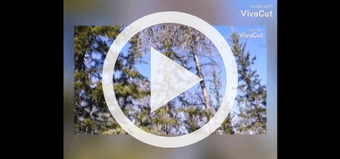 Обложка Электронного документа: Мин да оҕо этим: [видеозапись]