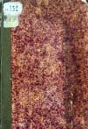 Обложка Электронного документа: Памятная книжка Якутской области на 1902 год