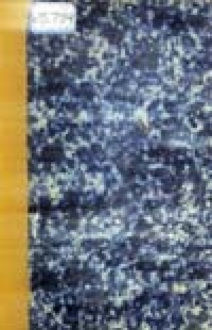 Обложка Электронного документа: Памятная книжка Якутской области на 1867 год