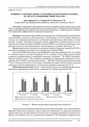 Обложка Электронного документа: Влияние УЗ-обработанных углеродных нанотрубок и каолина на эксплуатационные свойства ПТФЭ