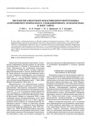 Обложка Электронного документа: Экспансия азиатского бекасовидного веретенника (Limnodromus semipalmatus, Charadriiformes, Scolopacidae) в зону тайги <br>Breeding range expansion of the asian dowitcher (Limnodromus semipalmatus, Charadriiformes, Scolopacidae) to the Taiga zone