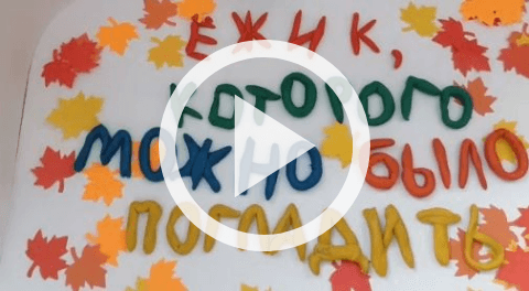 Обложка Электронного документа: Ёжик, которого можно погладить: мультипликационный фильм. [видеозапись]