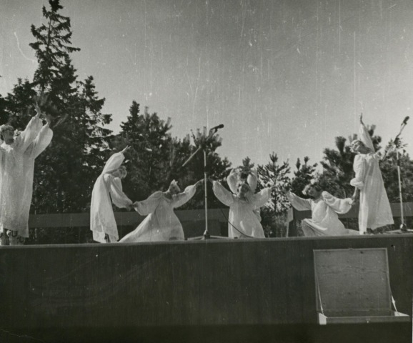 Обложка Электронного документа: Хореографическая композиция "Подснежники": [фотография]