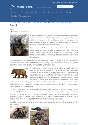 Обложка Электронного документа: A carcass of a well preserved grown up cave bear found: [a well preserved carcass of an extinct cave bear species was found on Bolshoy Lyakhovsky island]