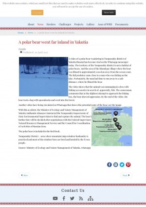 Обложка Электронного документа: A polar bear went far inland in Yakutia: [it was spotted in Tomponskiy district (Yakutia)]