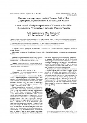Обложка Электронного документа: Находка мигрирующих особей Vanessa indica Hbst. (Lepidoptera, Nymphalidae) в Юго-Западной Якутии <br>A new record of migrate specimens of Vanessa indica Hbst. (Lepidoptera, Nymphalidae) in South-Western Yakutia