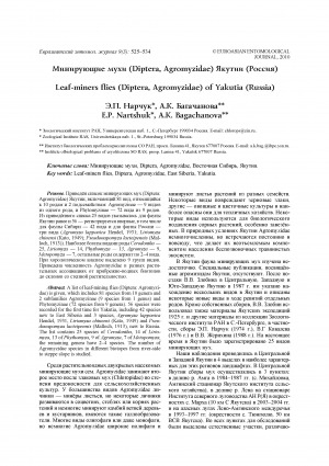 Обложка Электронного документа: Минирующие мухи (Diptera, Agromyzidae) Якутии (Россия) <br>Leaf-miners flies (Diptera, Agromyzidae) of Yakutia (Russia)