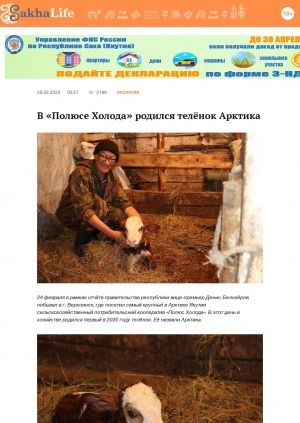 Обложка Электронного документа: В "Полюсе Холода" родился телёнок Арктика: [о сельскохозяйственном потребительском кооперативе в Верхоянске]