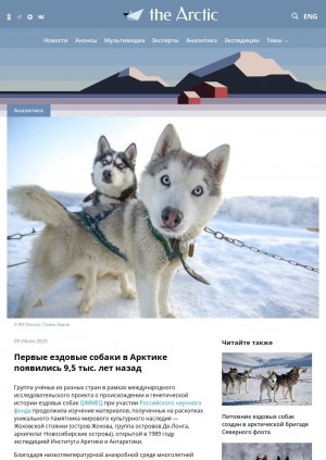 Обложка Электронного документа: Первые ездовые собаки в Арктике появились 9,5 тыс. лет назад: [c комментариями старшего научного сотрудника Института истории материальной культуры Российской академии наук Владимира Питулько]