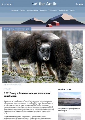 Обложка Электронного документа: В 2017 году в Якутию завезут ямальских овцебыков: [с комментариями руководителя дирекции биологических ресурсов министерства экологии, природопользования и лесного хозяйства Республики Саха (Якутия) Якова Сивцева]