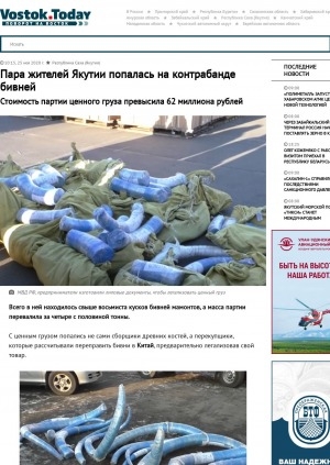 Обложка Электронного документа: Пара жителей Якутии попалась на контрабанде бивней. Стоимость партии ценного груза превысила 62 миллиона рублей