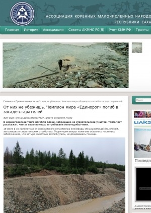 Обложка Электронного документа: От них не убежишь. Чемпион мира "Единорог" погиб в засаде старателей: [о гибели оленей. с комментариями работницы стада N 20 Любови Курбальтиновой]