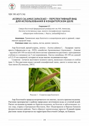 Обложка Электронного документа: Acorus calamus (аrасеае) – перспективный вид для использования в кондитерском деле <br>Acorus calamus (аrасеае) - a promising view for use in the confectionery business